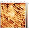 100nm nanospheres on silicon