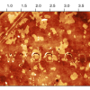 Nanoscratching on polycarbonate