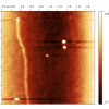 Carbon nanotube (sample courtesy L. Zajickova)